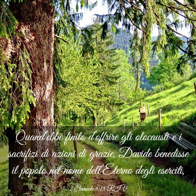 Picture 03 - 2 Samuele 6:18 RIV - Quand’ebbe finito d’offrire gli olocausti e i - Bible Verse Picture