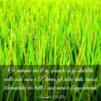 Picture 03 - 2 Samuele 7:1 RIV - Or avvenne che il re, quando si fu stabilito - Bible Verse Picture