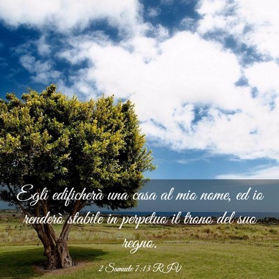 Picture 03 - 2 Samuele 7:13 RIV - Egli edificherà una casa al mio nome, ed io - Bible Verse Picture