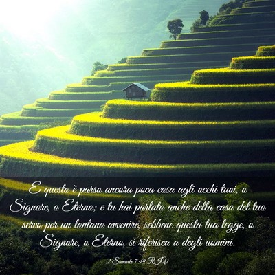 Picture 03 - 2 Samuele 7:19 RIV - E questo è parso ancora poca cosa agli occhi - Bible Verse Picture
