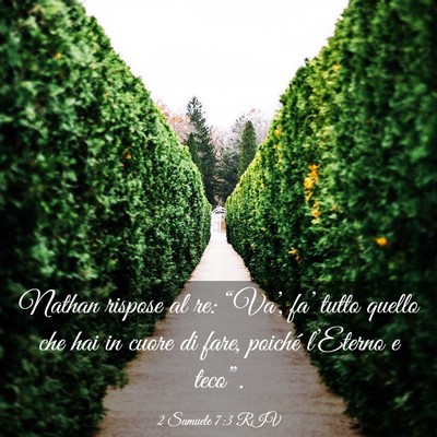 Picture 03 - 2 Samuele 7:3 RIV - Nathan rispose al re: “Va’, fa’ tutto - Bible Verse Picture