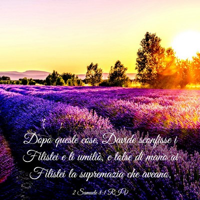 Picture 03 - 2 Samuele 8:1 RIV - Dopo queste cose, Davide sconfisse i Filistei e - Bible Verse Picture