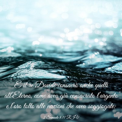 Picture 03 - 2 Samuele 8:11 RIV - E il re Davide consacrò anche quelli - Bible Verse Picture