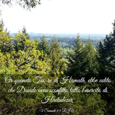 Picture 03 - 2 Samuele 8:9 RIV - Or quando Toi, re di Hamath, ebbe udito che - Bible Verse Picture