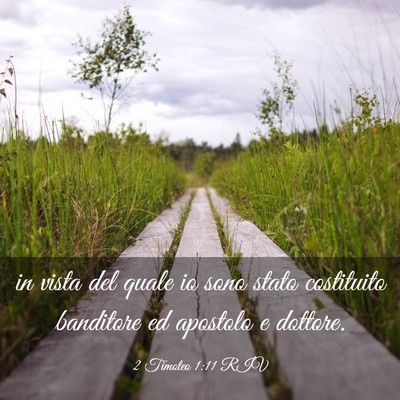 Picture 03 - 2 Timoteo 1:11 RIV - in vista del quale io sono stato costituito - Bible Verse Picture