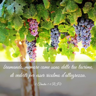Picture 03 - 2 Timoteo 1:4 RIV - bramando, memore come sono delle tue lacrime, di - Bible Verse Picture