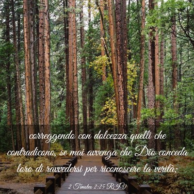 Picture 03 - 2 Timoteo 2:25 RIV - correggendo con dolcezza quelli che contradicono, - Bible Verse Picture