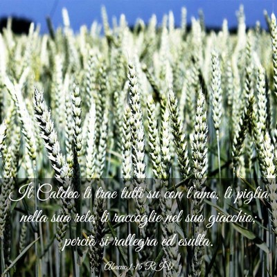 Picture 03 - Abacuc 1:15 RIV - Il Caldeo li trae tutti su con l’amo, li piglia - Bible Verse Picture