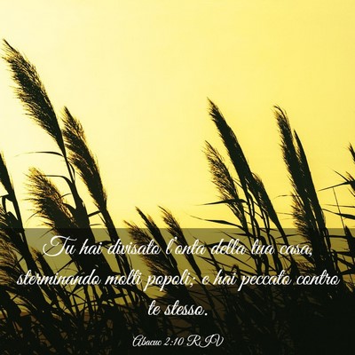 Picture 03 - Abacuc 2:10 RIV - Tu hai divisato l’onta della tua casa, - Bible Verse Picture