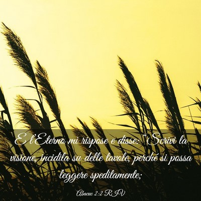 Picture 03 - Abacuc 2:2 RIV - E l’Eterno mi rispose e disse: “Scrivi la - Bible Verse Picture