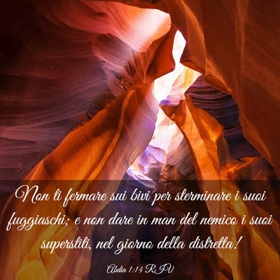 Picture 03 - Abdia 1:14 RIV - Non ti fermare sui bivi per sterminare i suoi - Bible Verse Picture