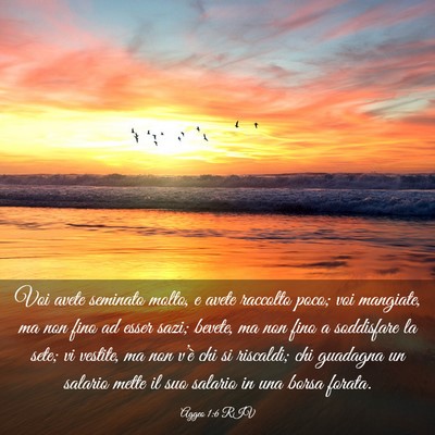Picture 03 - Aggeo 1:6 RIV - Voi avete seminato molto, e avete raccolto poco; - Bible Verse Picture