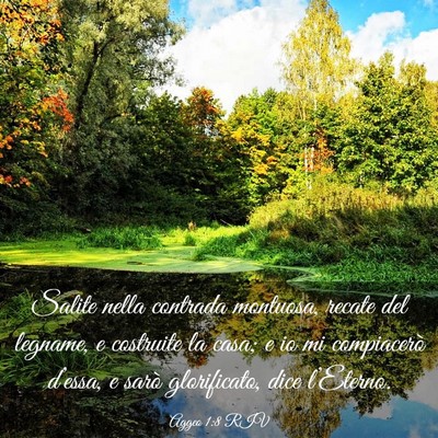 Picture 03 - Aggeo 1:8 RIV - Salite nella contrada montuosa, recate del - Bible Verse Picture