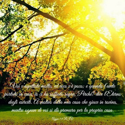 Picture 03 - Aggeo 1:9 RIV - Voi v’aspettate molto, ed ecco v’è poco; e - Bible Verse Picture