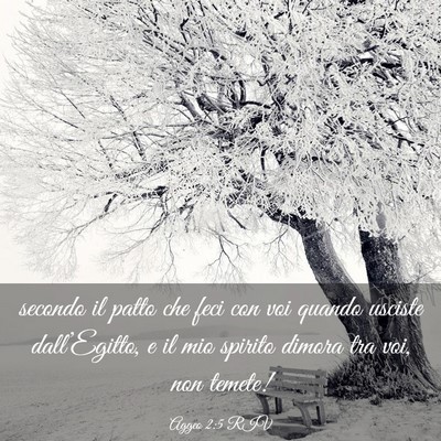 Picture 03 - Aggeo 2:5 RIV - secondo il patto che feci con voi quando usciste - Bible Verse Picture