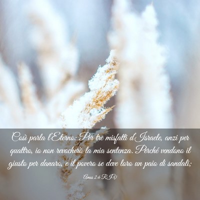 Picture 03 - Amos 2:6 RIV - Così parla l’Eterno: Per tre misfatti - Bible Verse Picture