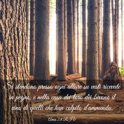 Picture 03 - Amos 2:8 RIV - Si stendono presso ogni altare su vesti ricevute - Bible Verse Picture