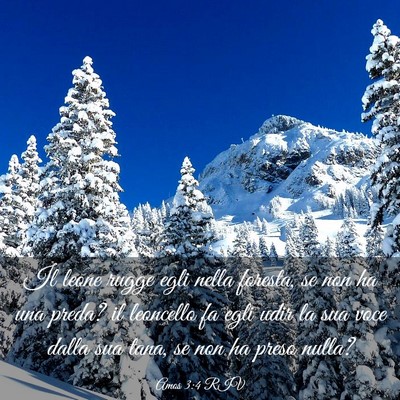 Picture 03 - Amos 3:4 RIV - Il leone rugge egli nella foresta, se non ha una - Bible Verse Picture