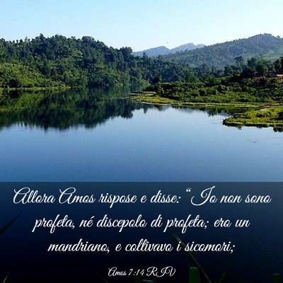 Picture 03 - Amos 7:14 RIV - Allora Amos rispose e disse: “Io non sono - Bible Verse Picture