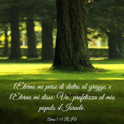 Picture 03 - Amos 7:15 RIV - l’Eterno mi perse di dietro al gregge, e - Bible Verse Picture