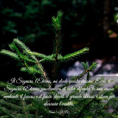 Picture 03 - Amos 7:4 RIV - Il Signore, l’Eterno, mi diede questa visione: - Bible Verse Picture