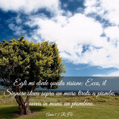 Picture 03 - Amos 7:7 RIV - Egli mi diede questa visione: Ecco, il Signore - Bible Verse Picture