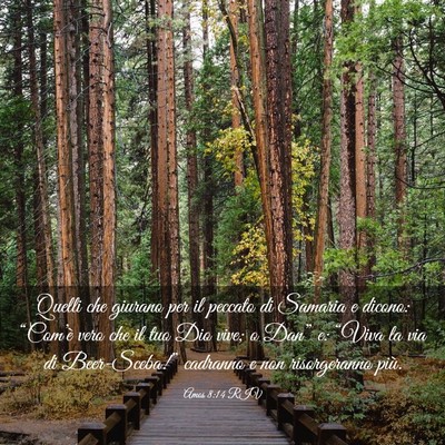 Picture 03 - Amos 8:14 RIV - Quelli che giurano per il peccato di Samaria e - Bible Verse Picture