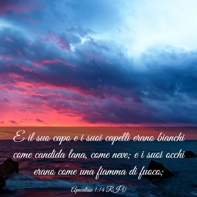 Picture 03 - Apocalisse 1:14 RIV - E il suo capo e i suoi capelli erano bianchi come - Bible Verse Picture