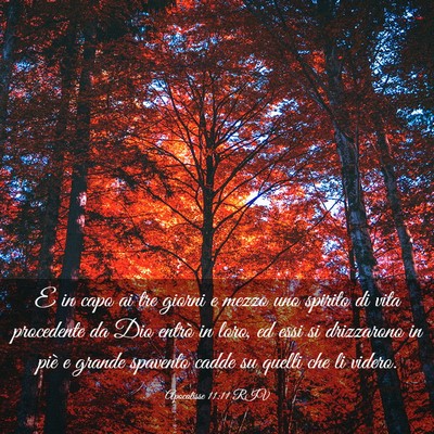 Picture 03 - Apocalisse 11:11 RIV - E in capo ai tre giorni e mezzo uno spirito di - Bible Verse Picture