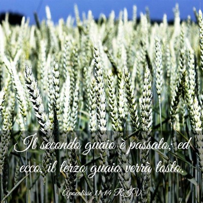 Picture 03 - Apocalisse 11:14 RIV - Il secondo guaio è passato; ed ecco, il terzo - Bible Verse Picture