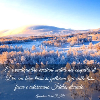 Picture 03 - Apocalisse 11:16 RIV - E i ventiquattro anziani seduti nel cospetto di - Bible Verse Picture