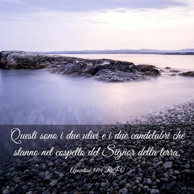 Picture 03 - Apocalisse 11:4 RIV - Questi sono i due ulivi e i due candelabri che - Bible Verse Picture