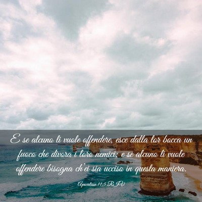 Picture 03 - Apocalisse 11:5 RIV - E se alcuno li vuole offendere, esce dalla lor - Bible Verse Picture