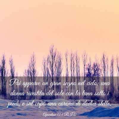 Picture 03 - Apocalisse 12:1 RIV - Poi apparve un gran segno nel cielo: una donna - Bible Verse Picture