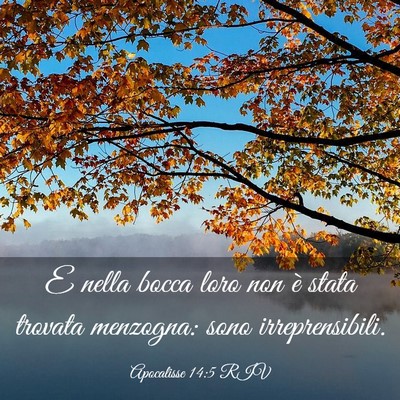 Picture 03 - Apocalisse 14:5 RIV - E nella bocca loro non è stata trovata menzogna: - Bible Verse Picture