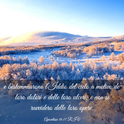 Picture 03 - Apocalisse 16:11 RIV - e bestemmiarono l’Iddio del cielo a motivo - Bible Verse Picture