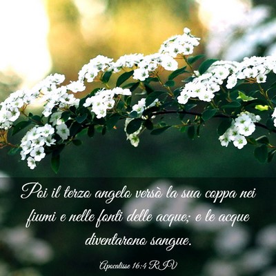 Picture 03 - Apocalisse 16:4 RIV - Poi il terzo angelo versò la sua coppa nei fiumi - Bible Verse Picture
