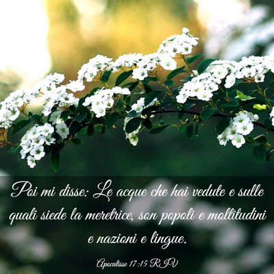 Picture 03 - Apocalisse 17:15 RIV - Poi mi disse: Le acque che hai vedute e sulle - Bible Verse Picture
