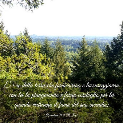 Picture 03 - Apocalisse 18:9 RIV - E i re della terra che fornicavano e - Bible Verse Picture