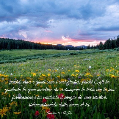 Picture 03 - Apocalisse 19:2 RIV - perché veraci e giusti sono i suoi giudici; - Bible Verse Picture