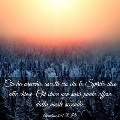 Picture 03 - Apocalisse 2:11 RIV - Chi ha orecchio ascolti ciò che lo Spirito dice - Bible Verse Picture