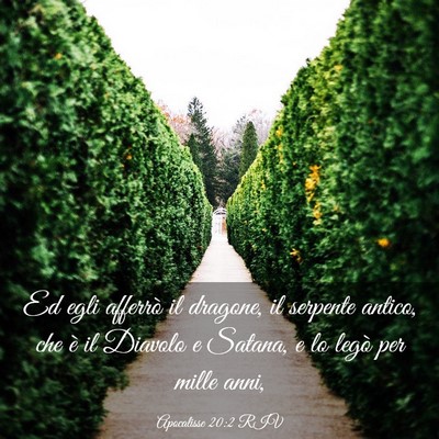 Picture 03 - Apocalisse 20:2 RIV - Ed egli afferrò il dragone, il serpente antico, - Bible Verse Picture