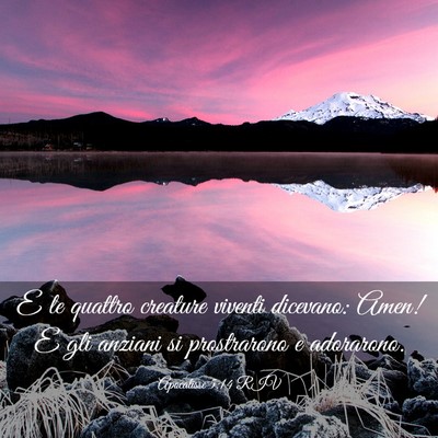 Picture 03 - Apocalisse 5:14 RIV - E le quattro creature viventi dicevano: Amen! E - Bible Verse Picture