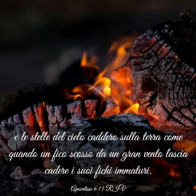 Picture 03 - Apocalisse 6:13 RIV - e le stelle del cielo caddero sulla terra come - Bible Verse Picture