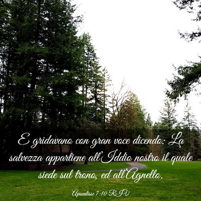 Picture 03 - Apocalisse 7:10 RIV - E gridavano con gran voce dicendo: La salvezza - Bible Verse Picture