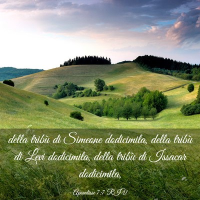 Picture 03 - Apocalisse 7:7 RIV - della tribù di Simeone dodicimila, della tribù - Bible Verse Picture