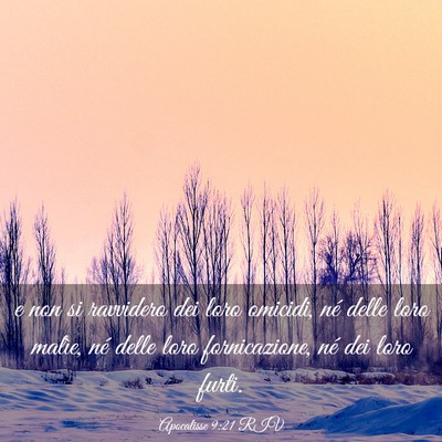 Picture 03 - Apocalisse 9:21 RIV - e non si ravvidero dei loro omicidi, né delle - Bible Verse Picture
