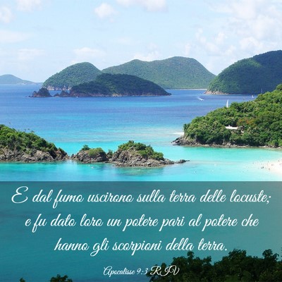 Picture 03 - Apocalisse 9:3 RIV - E dal fumo uscirono sulla terra delle locuste; e - Bible Verse Picture