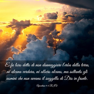Picture 03 - Apocalisse 9:4 RIV - E fu loro detto di non danneggiare l’erba della - Bible Verse Picture