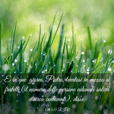 Picture 03 - Atti 1:15 RIV - E in que’ giorni, Pietro, levatosi in mezzo ai - Bible Verse Picture